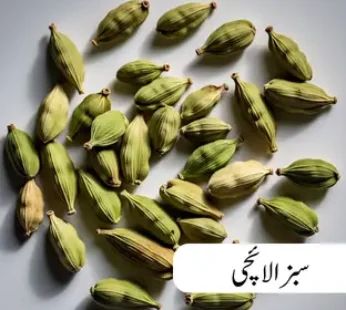 Elaichi Sabz – Green Cardamom